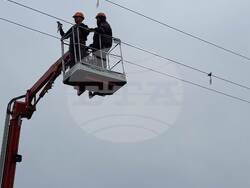 Снимки: Българско дружество за защита на птиците