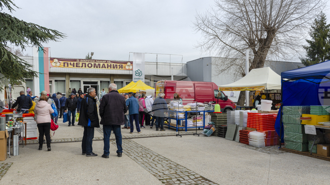 БАБХ и Икономическа полиция прекратиха незаконна продажба на лекарство за пчели в Добрич 