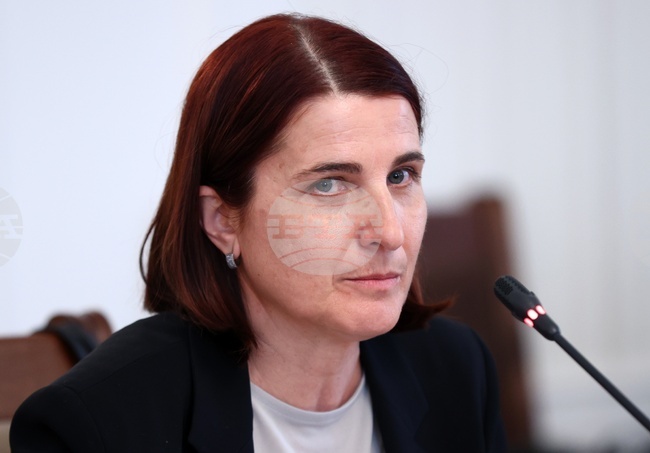 Само един психолог работи в шест центъра за настаняване на търсещите закрила, каза директорът на агенцията за бежанците Мариана Тошева