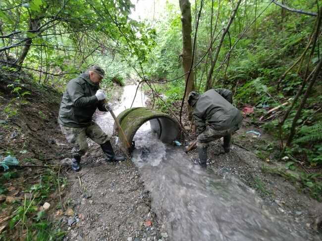 МО: Военнослужещи от Сухопътните войски и днес помагат на хората в Берковица