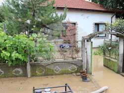 Снимка: Община Видин