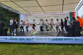 Село Долни Окол - фолклорен фестивал