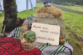 Село Долни Окол - фолклорен фестивал