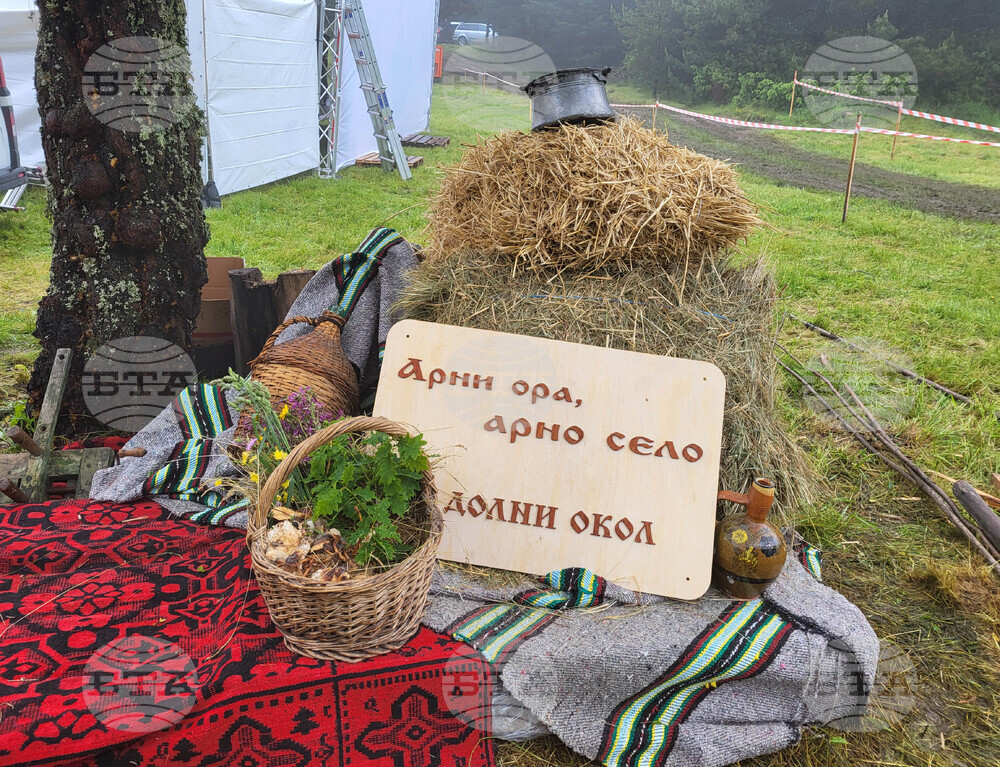 Село Долни Окол - фолклорен фестивал