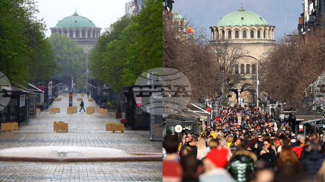 Vazrazhdane Moves Draft Resolution on Withdrawal from World Health Organization