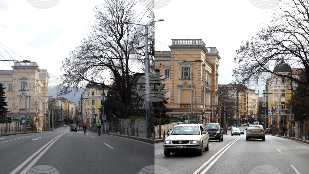 Пандемия – COVID-19