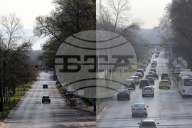 Пандемия – COVID-19