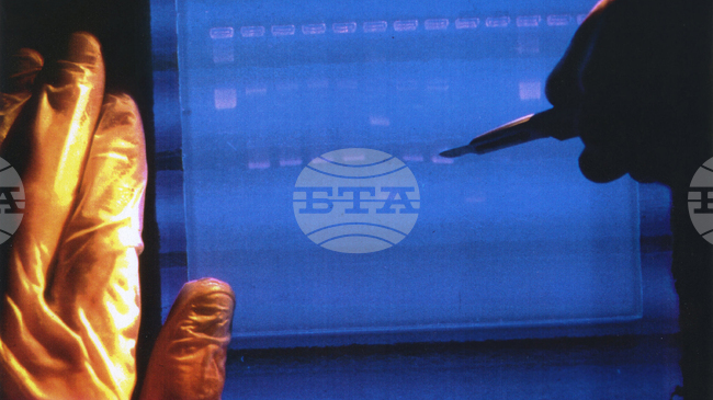 Учени откриха най-уязвимите към мутации участъци в човешкия геном