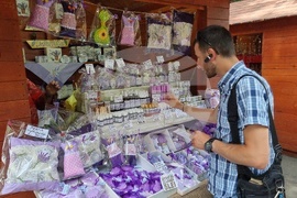 Румъния -  Международен фолклорен фестивал “Музика и традиции”