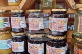 Румъния -  Международен фолклорен фестивал “Музика и традиции”