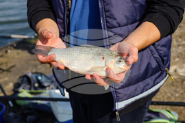 Бургас - Млад рибар - състезание