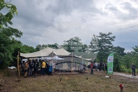 Стара Загора - еко-арт фестивал "На зелено"