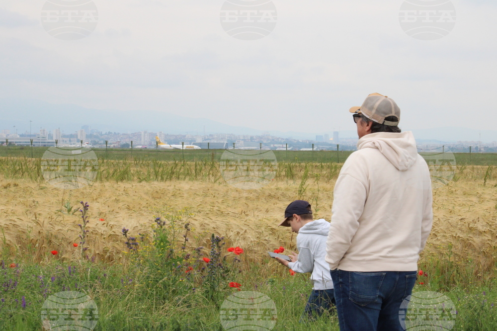 Летище София - самолети - авиолюбители