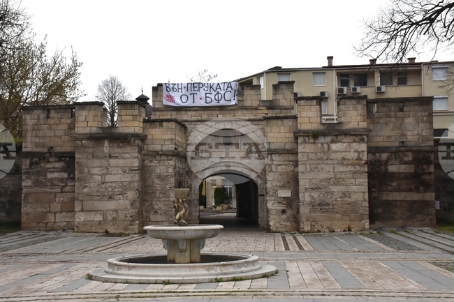 Видин - плакат - БФС - протест