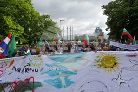 Поход за мир и неутралитет