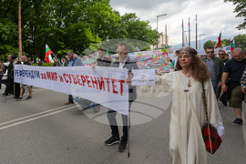 Поход за мир и неутралитет