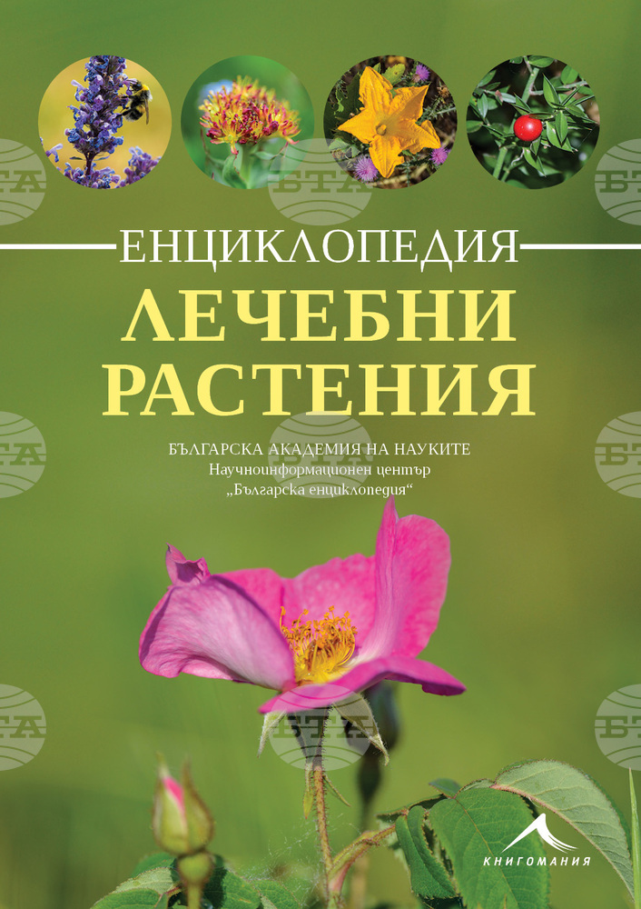 Енциклопедия събира информация за над 270 лечебни растения от България и чужбина