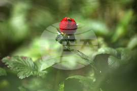 Парк - топло време