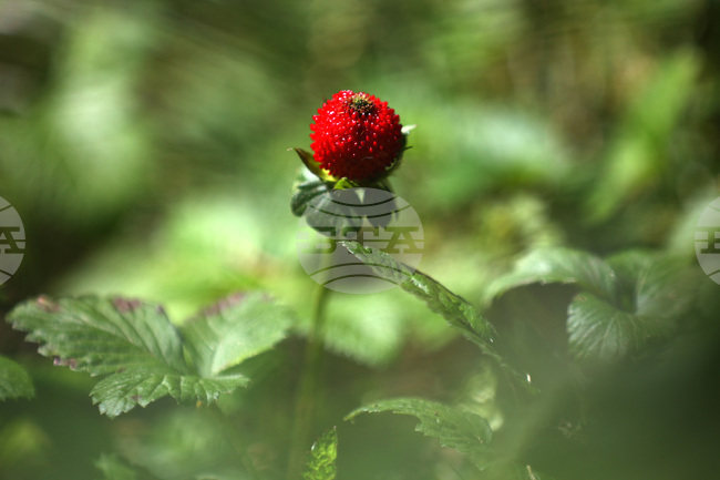  Парк - топло време