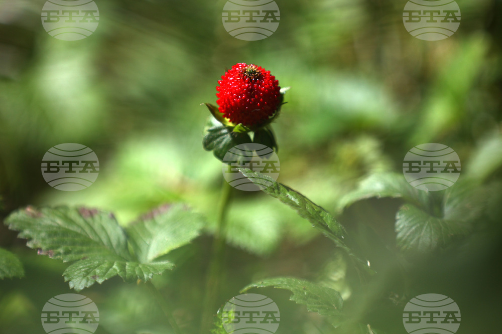 Парк - топло време