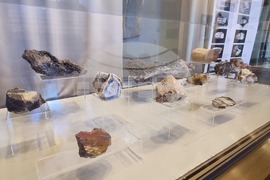 Кърджали - музей - "Лято в музея'