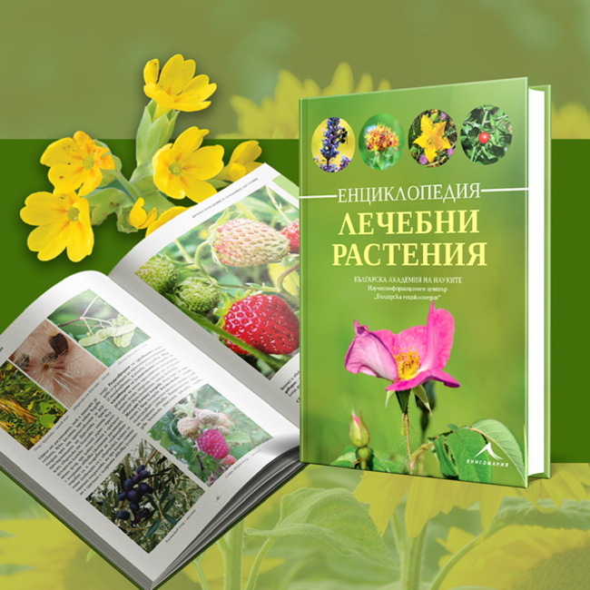 Българска академия на науките: Представяне на енциклопедията “Лечебни растения”