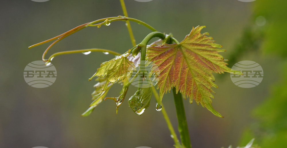 Село Малко Йонково - дъждовно време