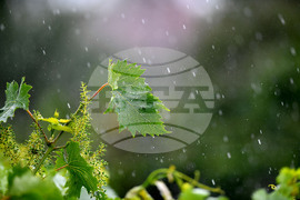 Село Малко Йонково - дъждовно време