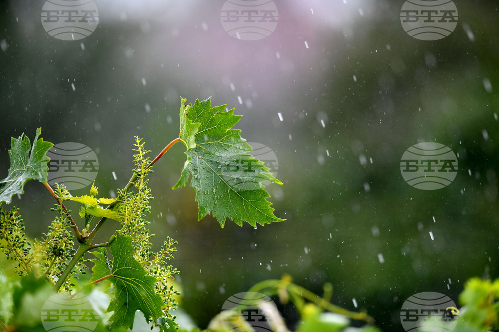 Село Малко Йонково - дъждовно време