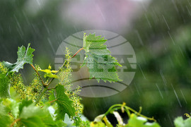 Село Малко Йонково - дъждовно време