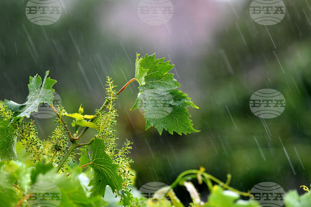 Село Малко Йонково - дъждовно време