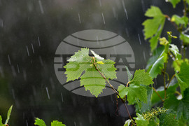 Село Малко Йонково - дъждовно време