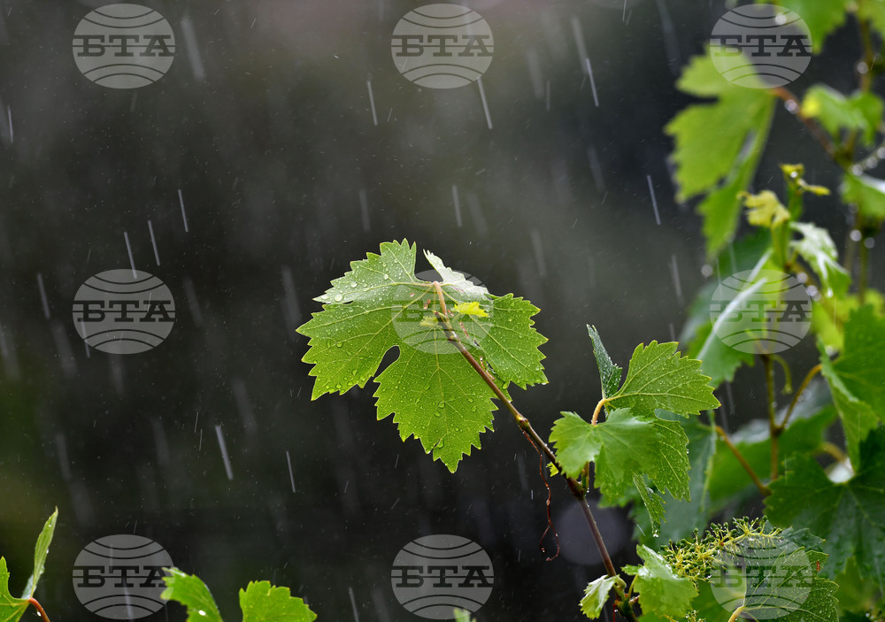 Прогноза за времето