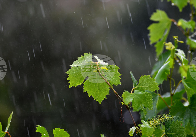 Прогноза за времето