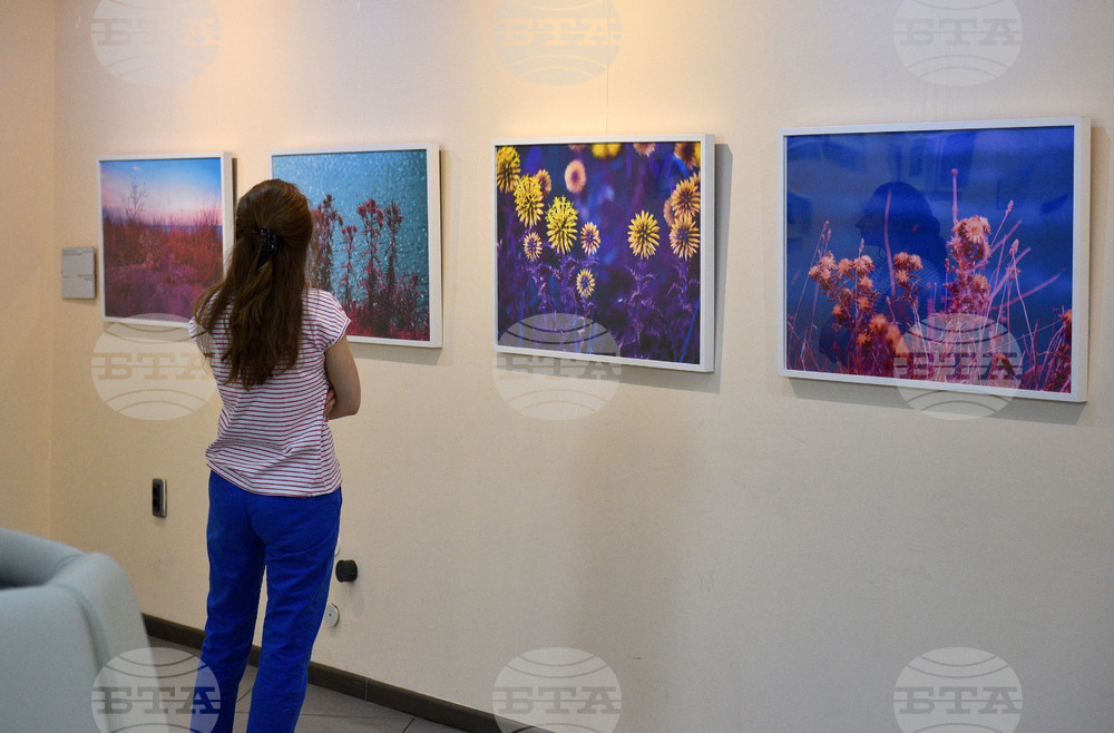 Варна - изложба