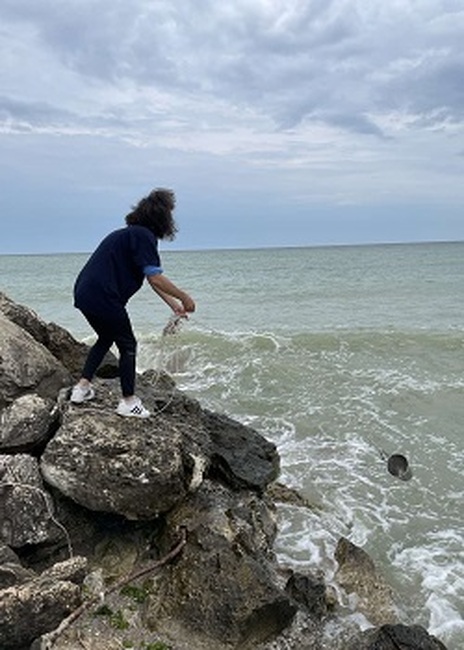 МОСВ: Няма данни за замърсяване в българската акватория на Черно море