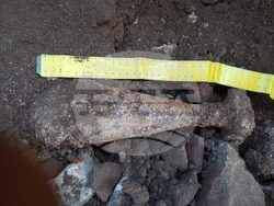 Снимка: ВМС