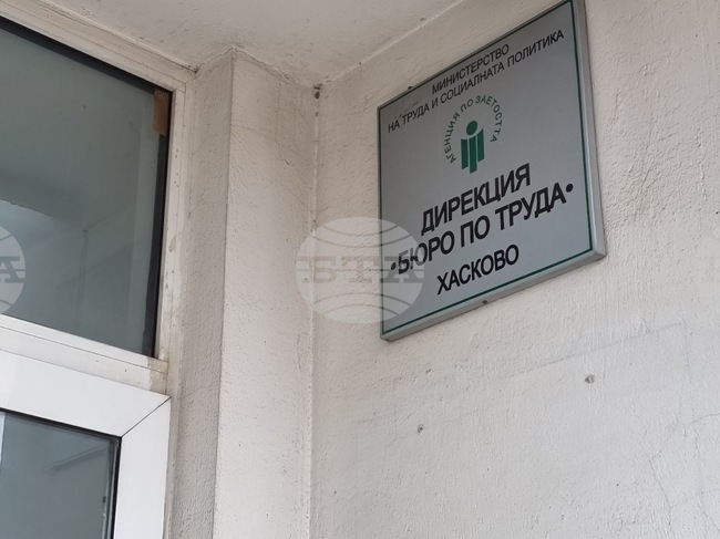 В област Хасково 248 безработни са намерили заетост през миналия декември, съобщиха от Бюрото по труда