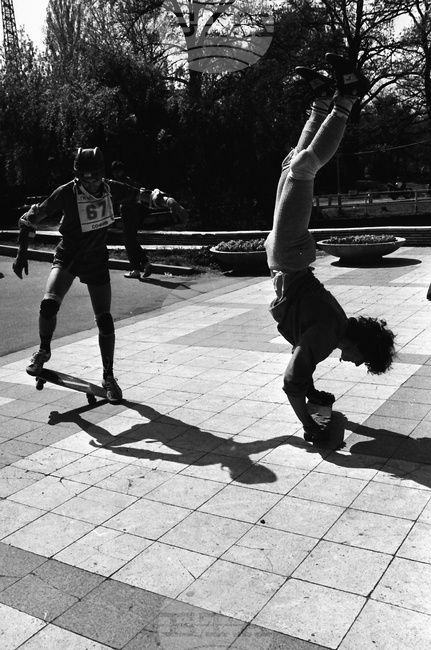 Ден на скейтбординга