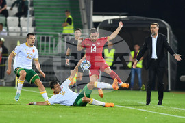 Разград - футбол - България - Сърбия