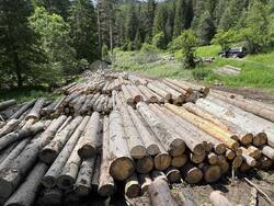 Снимка: Южноцентрално държавно предприятие – Смолян