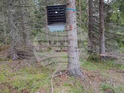 Снимка: Южноцентрално държавно предприятие – Смолян