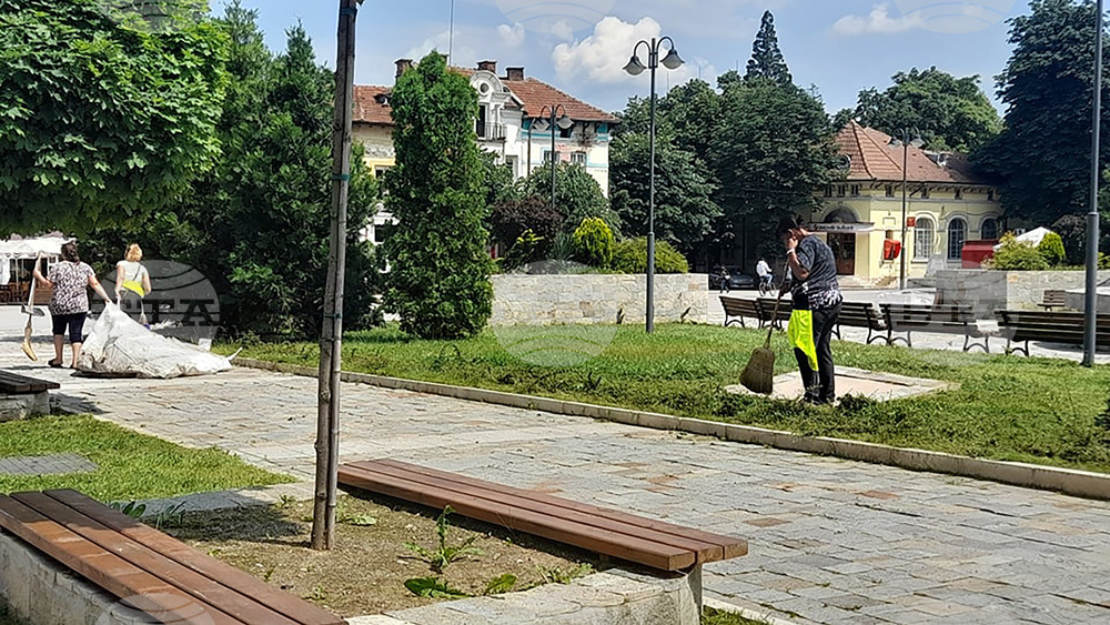 Основно почистване започна в Берковица след наводнението
