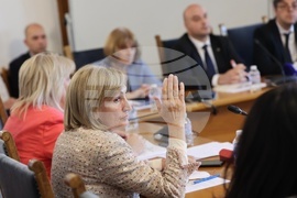 Парламент - Комисия по правни въпроси - Смиляна Нитова