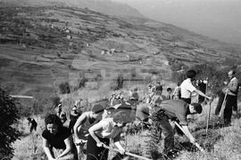 Седмицата на гората