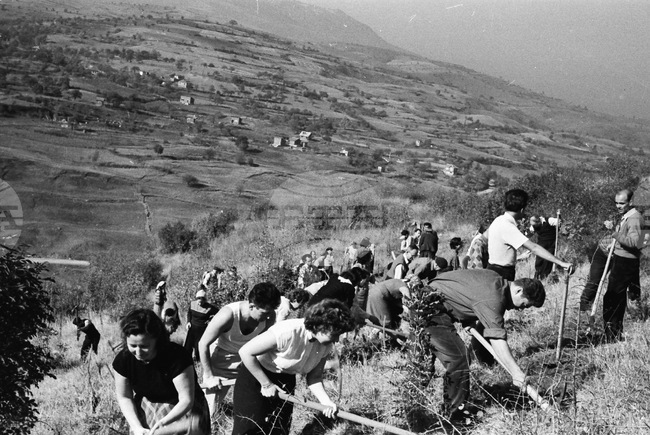 100 Years of Forest Week in Bulgaria
