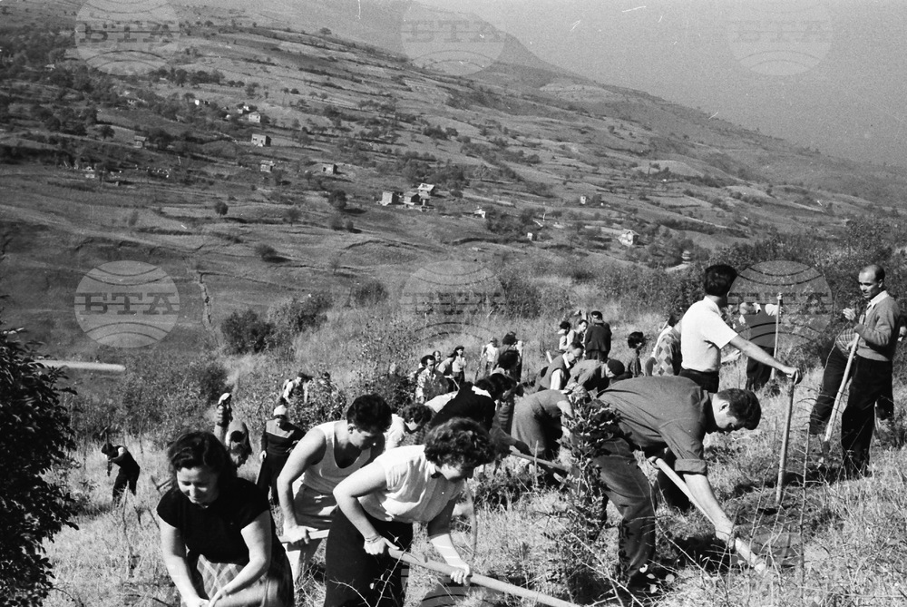 Седмицата на гората