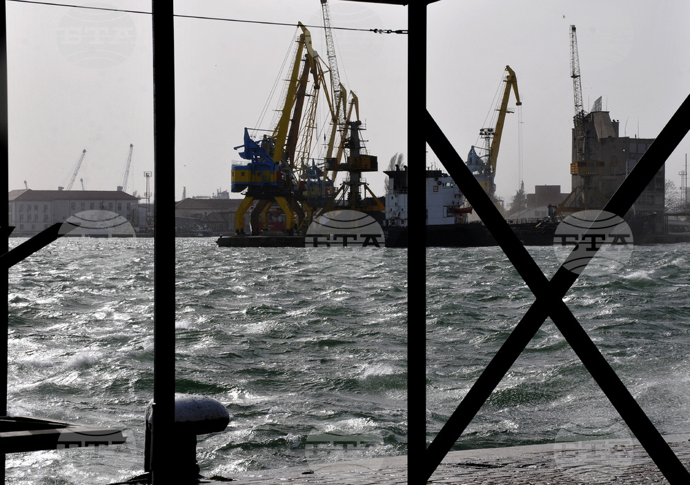 Над 40 кг кокаин е открит в контейнер с банани на бургаското пристанище