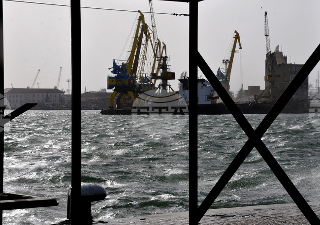 Над 40 кг кокаин е открит в контейнер с банани на бургаското пристанище