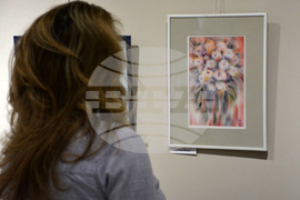 Благоевград - изложба - Ивайло Орманков